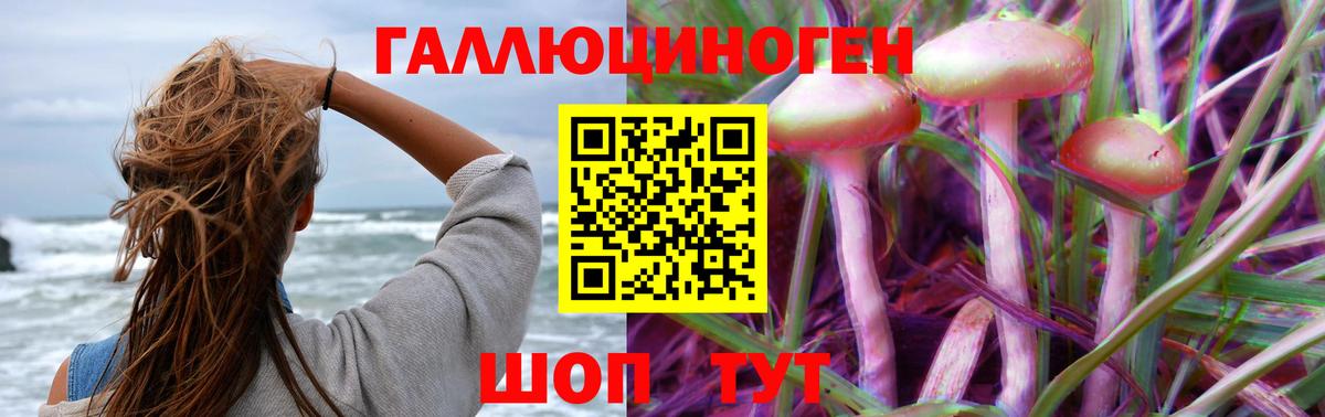 закладки  Галлюциногенные грибы GOLDEN TEACHER  Вход с VPN  Чехов 